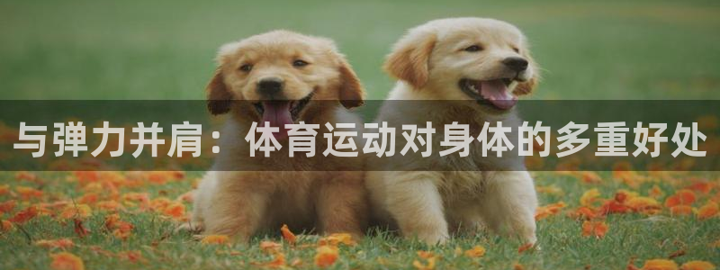 ug环球官网