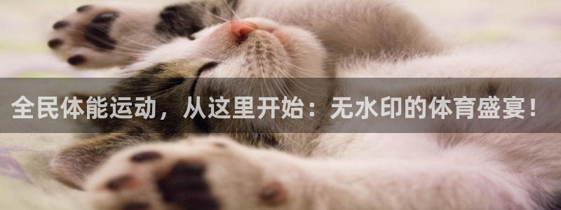菲律宾ug环球官网：全民体能运动，从这里开始：无水印的体育盛宴！