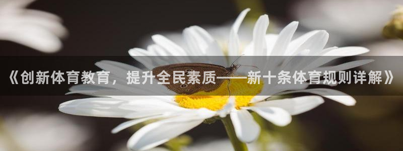 ug环球官网：《创新体育教育，提升全民素质——新十条体育规则详解》