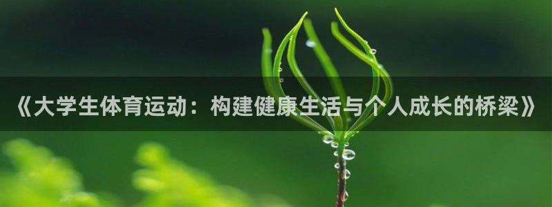 ug环球官网注册：《大学生体育运动：构建健康生活与个人成长的桥梁》